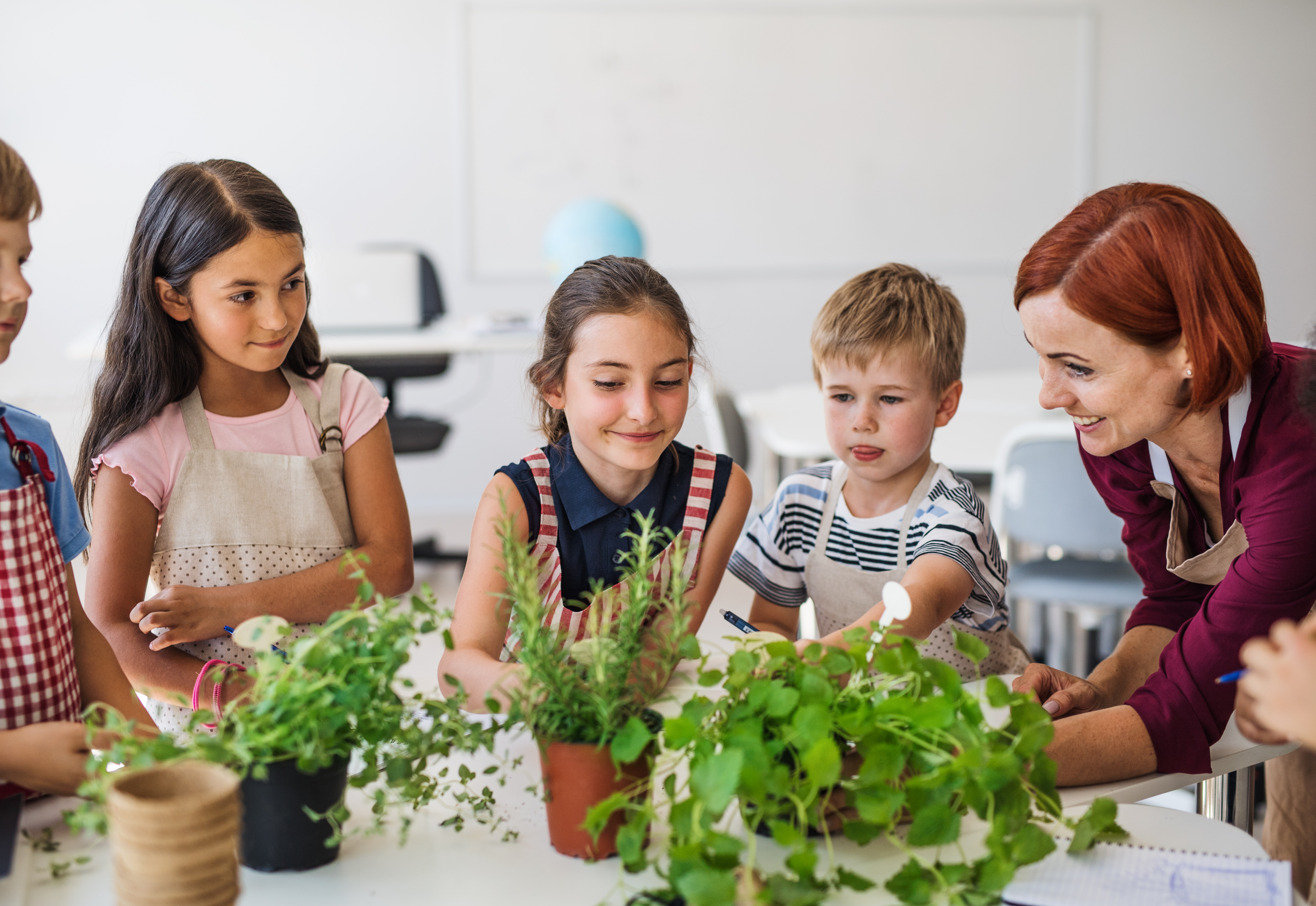 A group of small school kids with teacher standing in class, planting herbs.
